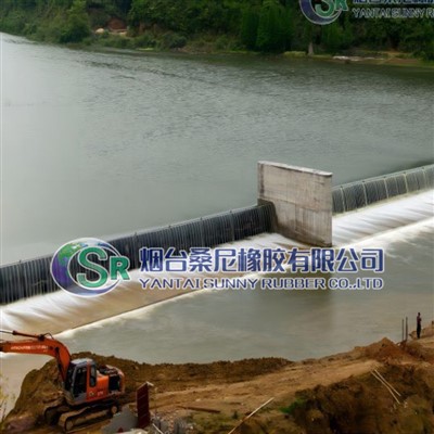 Ekologická brána na podporu vzduchového měchýře