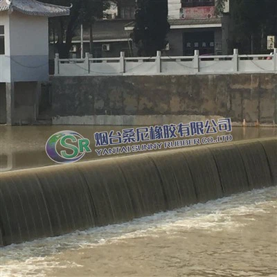 Gumová podpěra nafukovacího vaku 304Brána z oceli/uhlíkové oceli